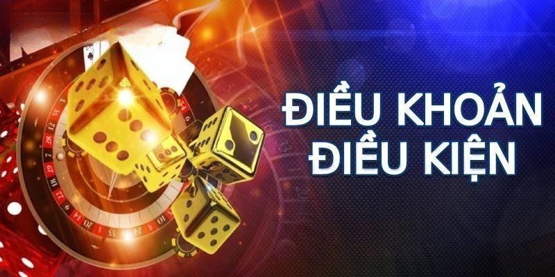 Giới thiệu về chính sách điều khoản May 88