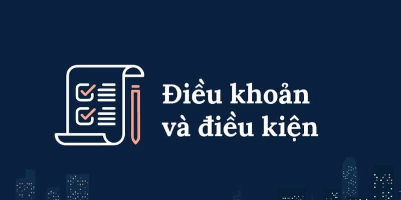 Vai trò quan trọng của chính sách điều kiện và điều khoản