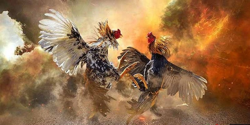 Kinh nghiệm chơi hay luôn có lãi cho cược thủ