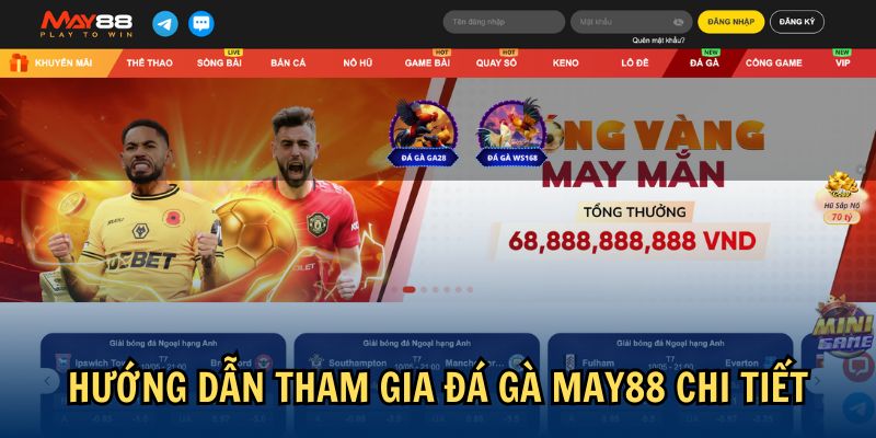 Hướng dẫn tham gia đá gà May88 chi tiết