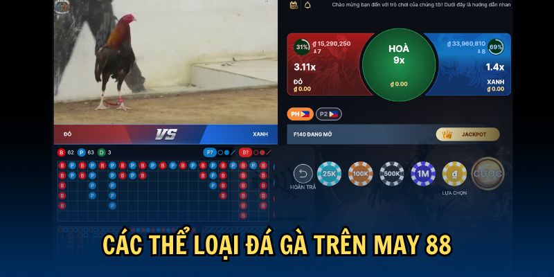 Các thể loại đá gà trên May 88Các thể loại đá gà trên May 88