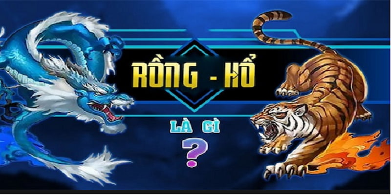Các thuật ngữ phổ biến