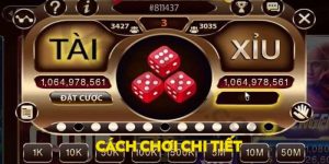Cách chơi tài xỉu chi tiết