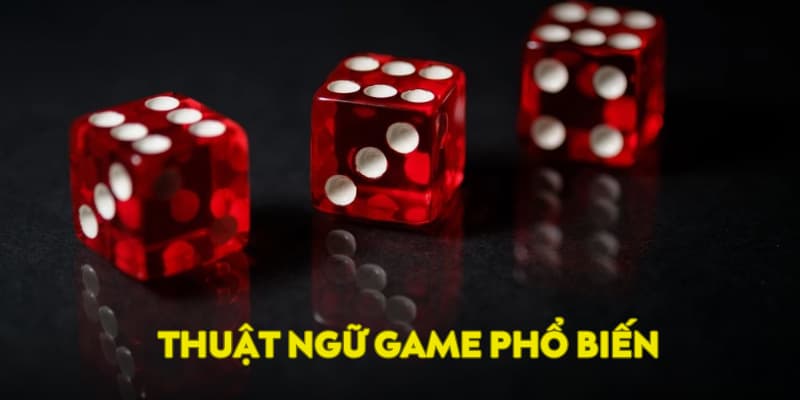 Thuật ngữ tài xỉu phổ biến