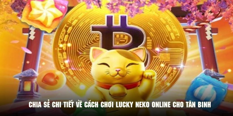 Chia sẻ chi tiết về cách chơi lucky neko online cho tân binh