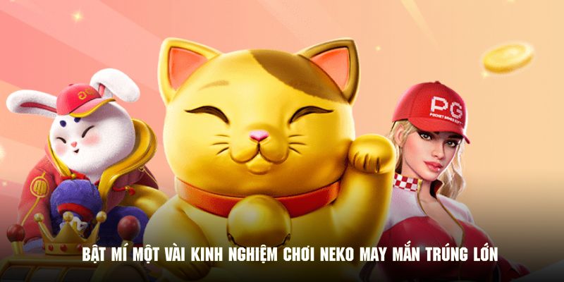 Bật mí một vài kinh nghiệm chơi neko may mắn trúng lớn