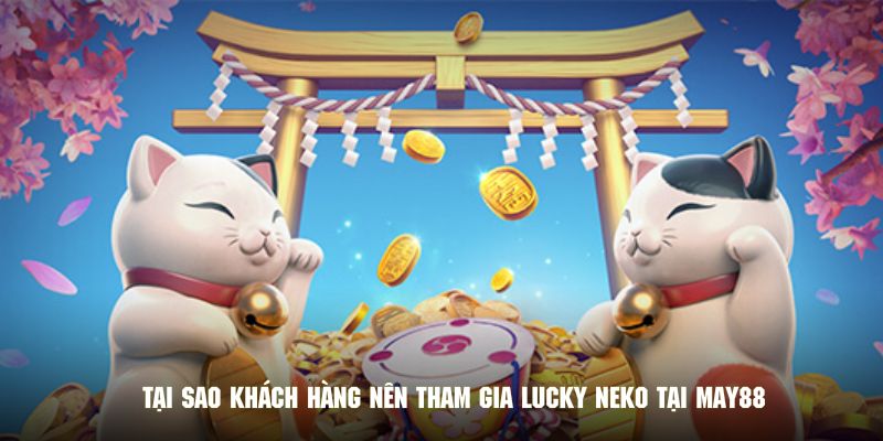 Tại sao khách hàng nên tham gia Lucky Neko tại May88