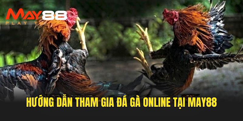 Quy trình tham gia vào chọi kê online 