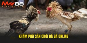 Khám phá sân chơi chọi kê trực tuyến 