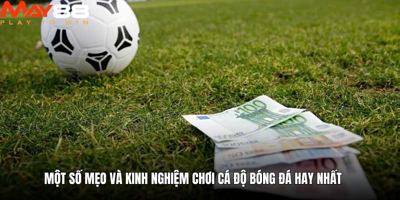 Một số mẹo và kinh nghiệm chơi cá độ bóng đá hay nhất