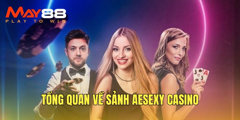 Sảnh Aesexy - Sân chơi cuốn hút hàng đầu thị trường